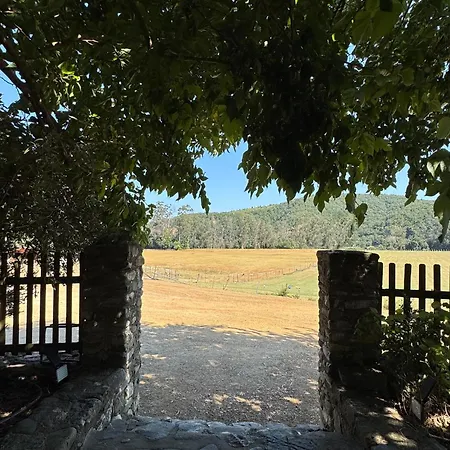 A La Ferme Proche Daire Antisanti